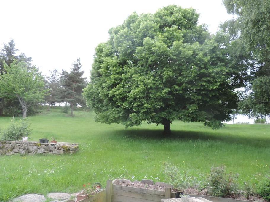 Chambre A La Campagne Saint Andre De Chalencon Luaran gambar